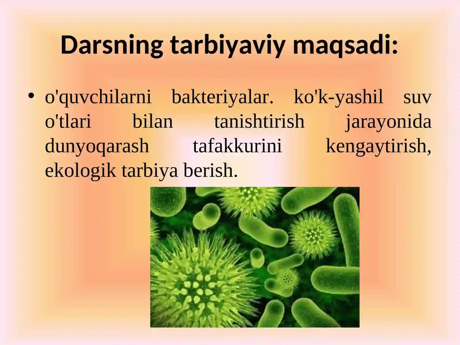 Hayotning hujayraviy shakllari 3