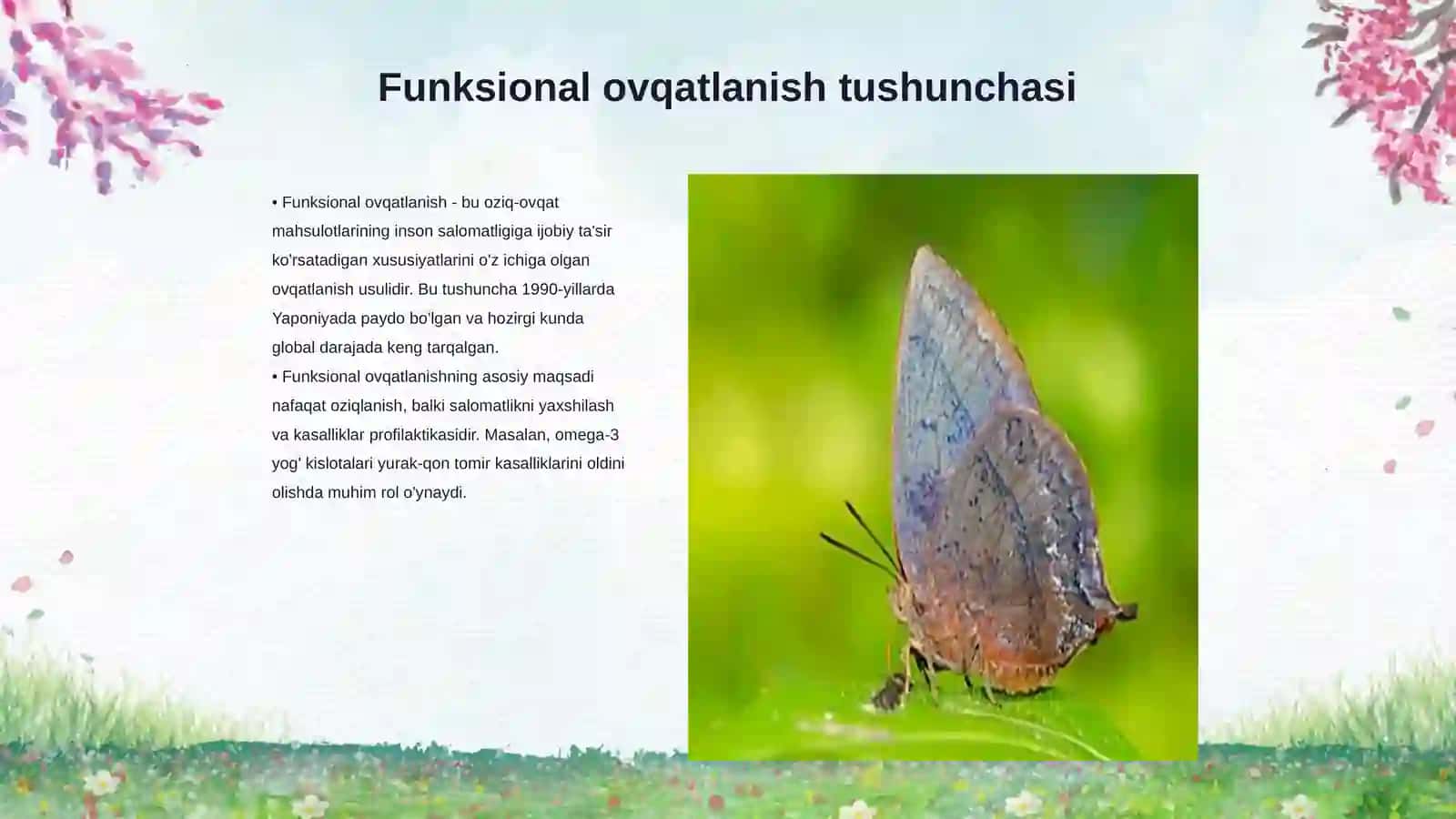 Funksional ovqatlanish 3