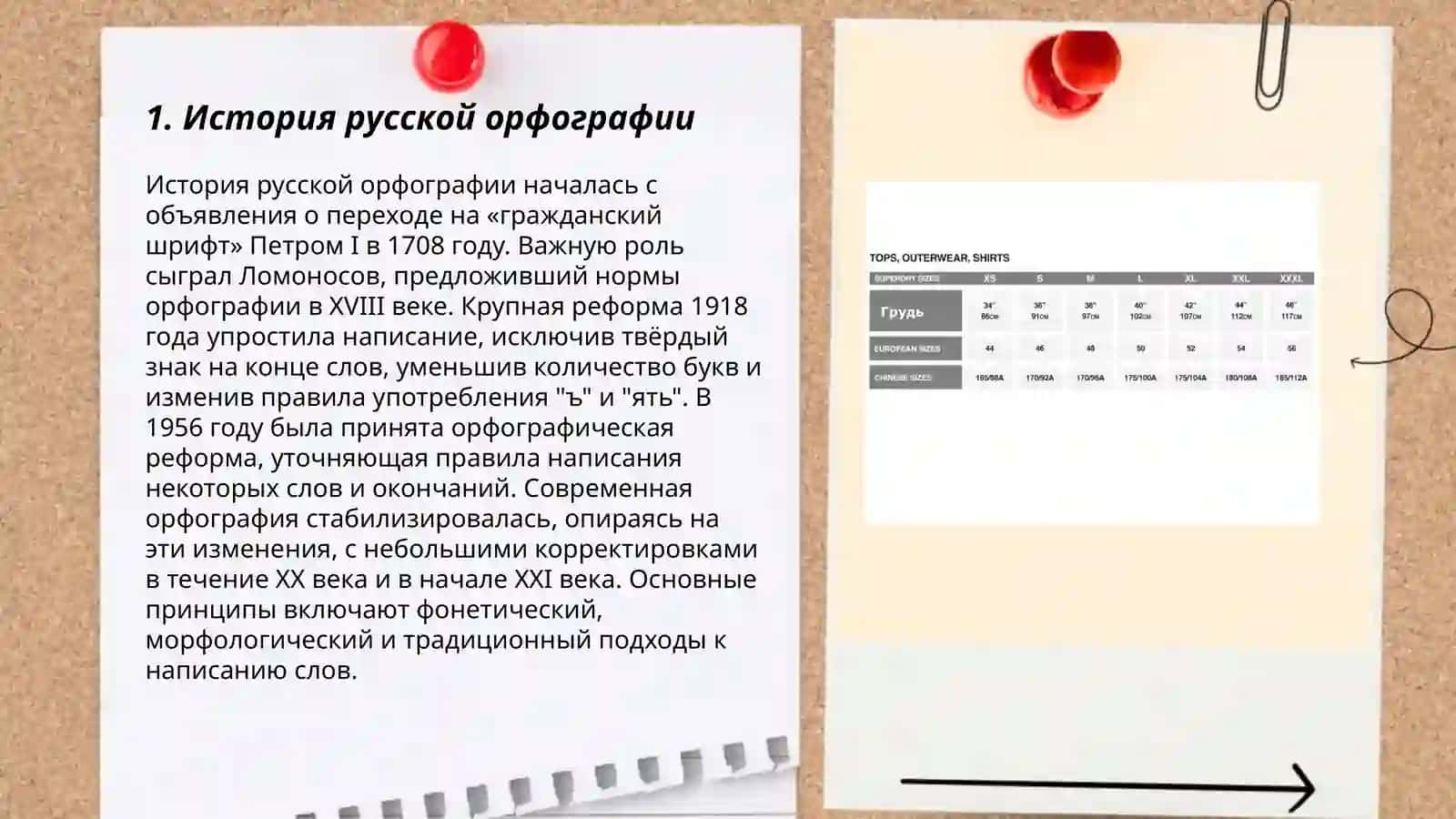 Принципы русской орфографии 3