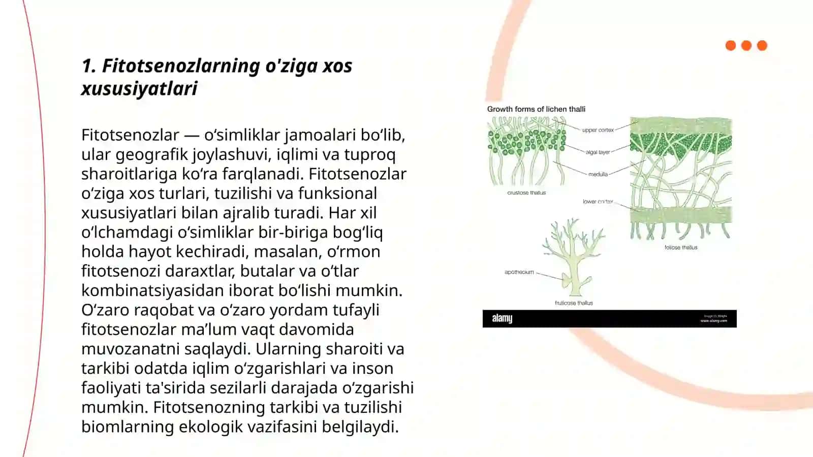 Fitotsenoz strukturasi 3