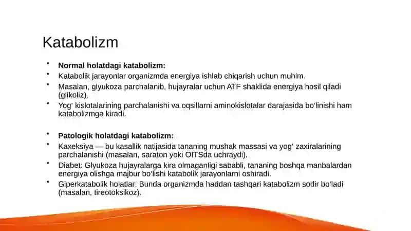 Katabolizm 3
