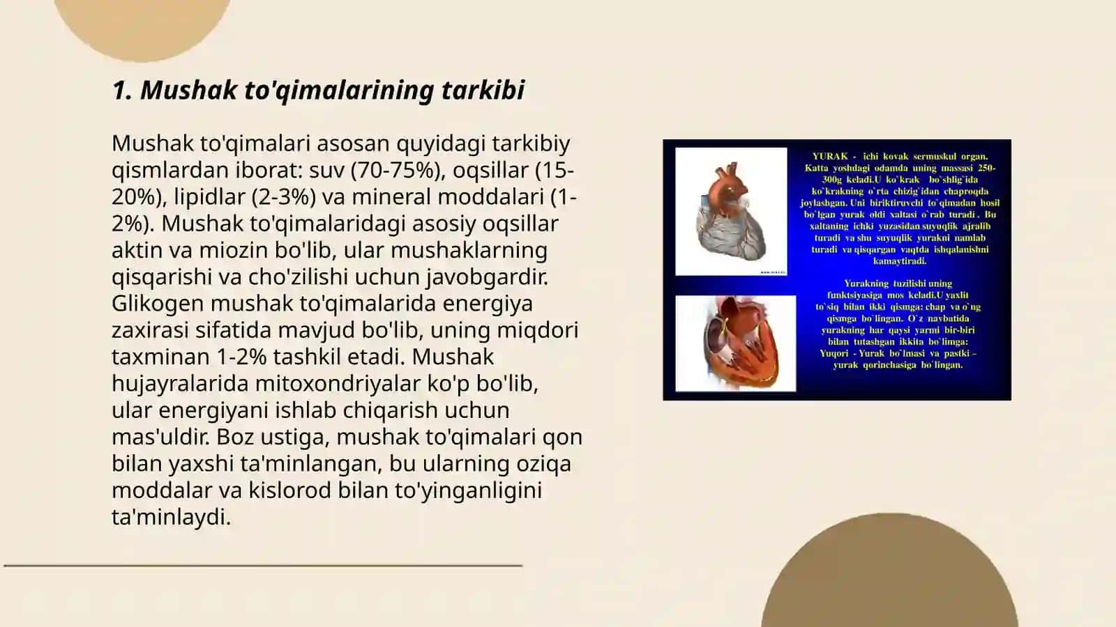 Silliq mushak fezologiyasi 3