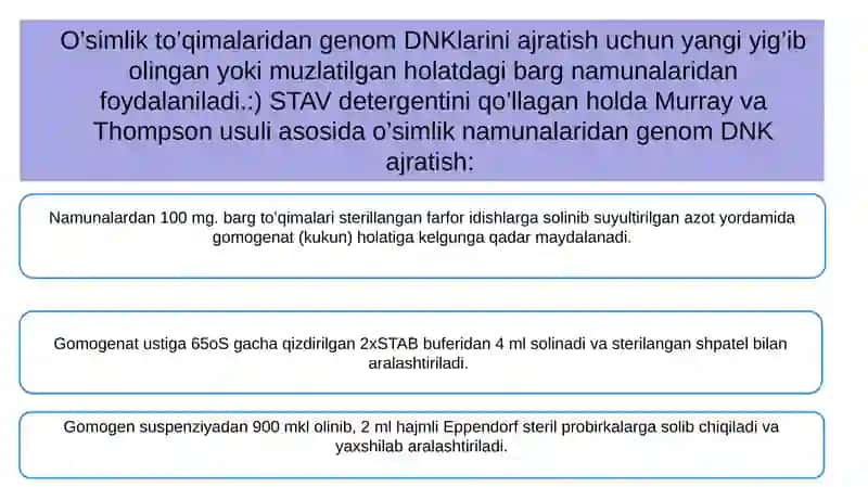 O'simlik genom DNK siqish mahsulotlari 3