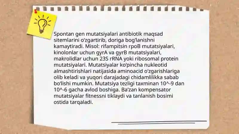 Bakteriyalarning antibitiklarga chidamli shakllarini paydo bo'lish mexanizmlari 3