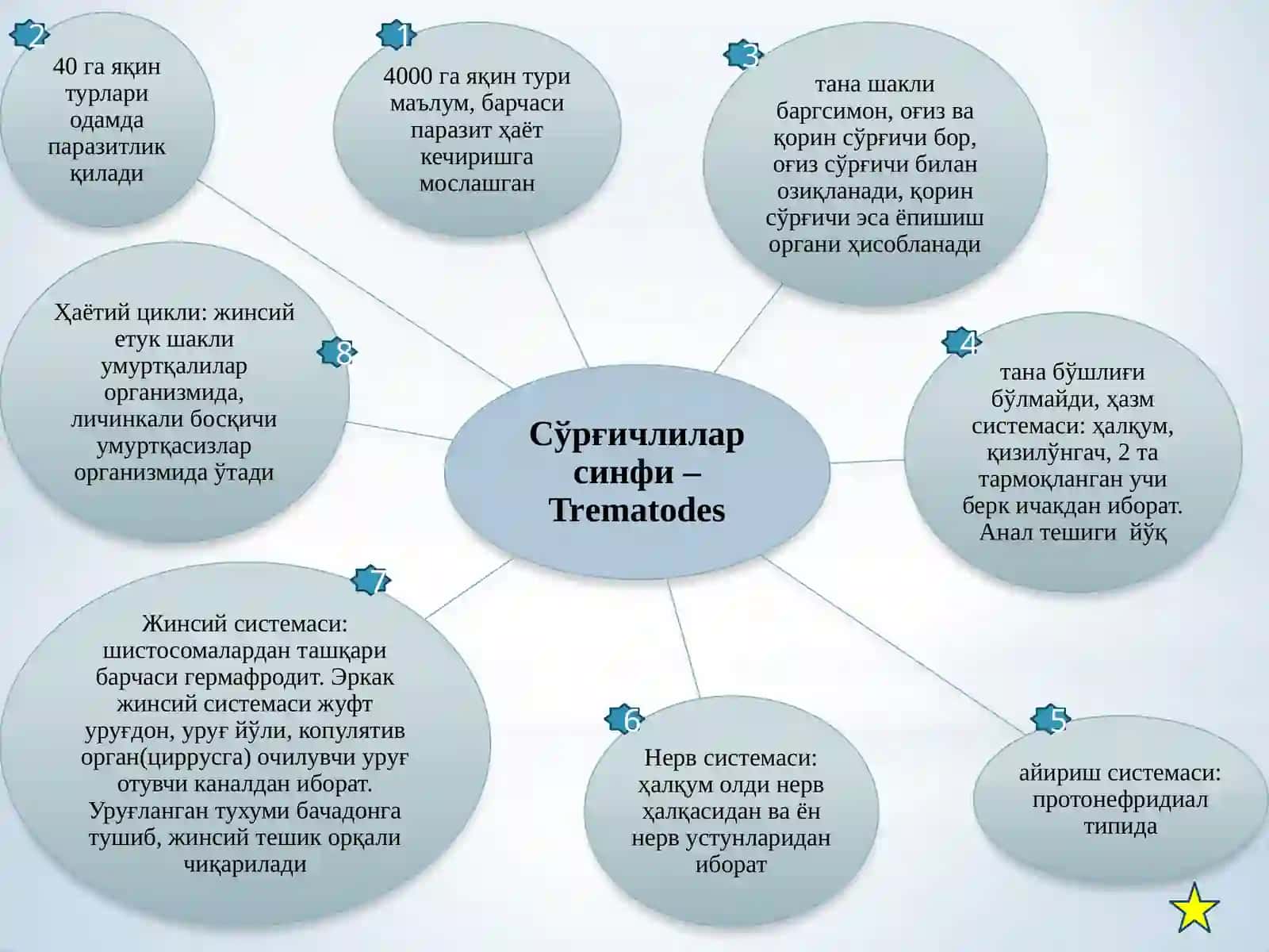 Тиббиёт гельминтологияси 3