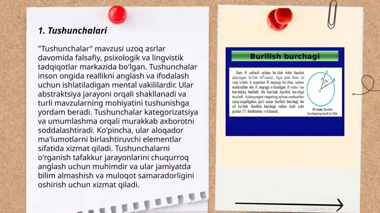 Tushunchalar 3