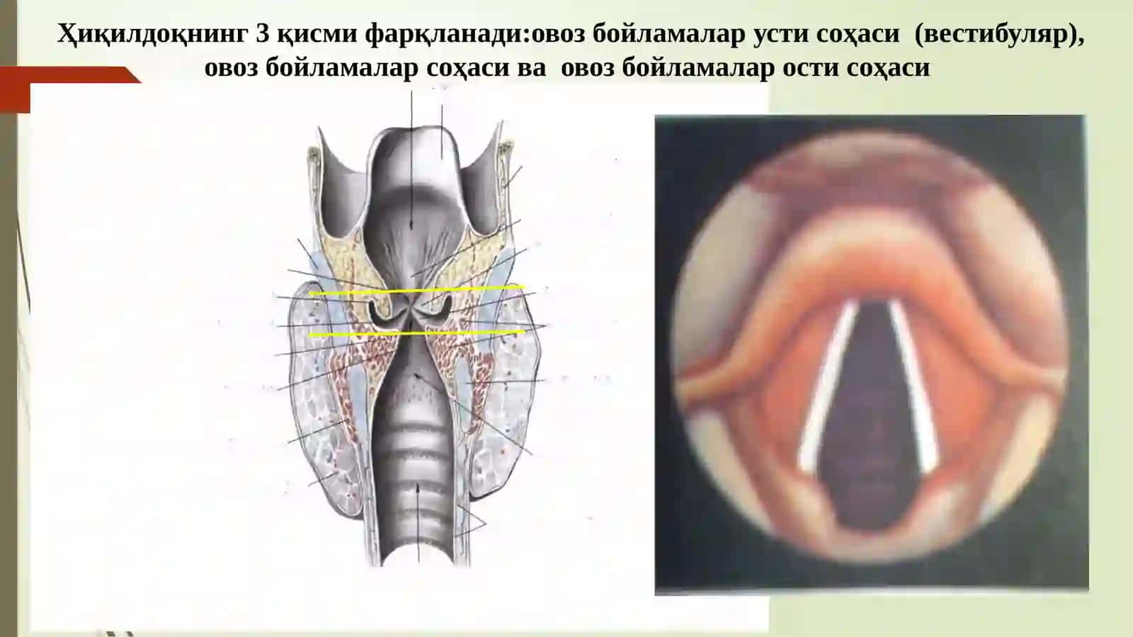 ҲИқИЛДОҚРАКИ-С32 3