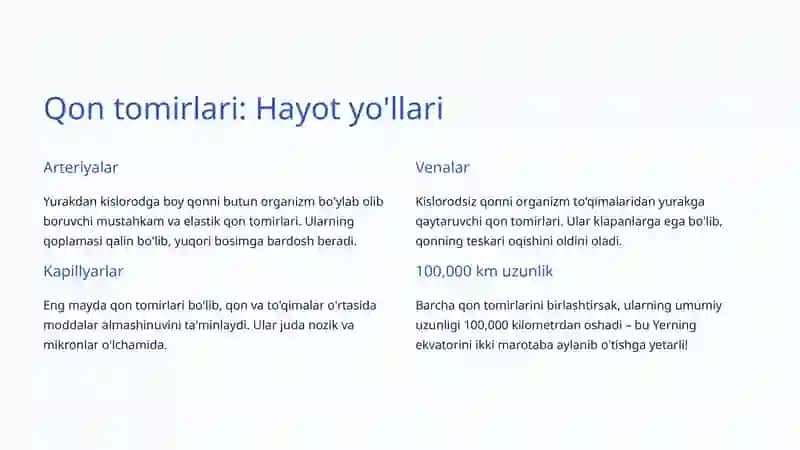 Yurak-qon tomir tizimi 3