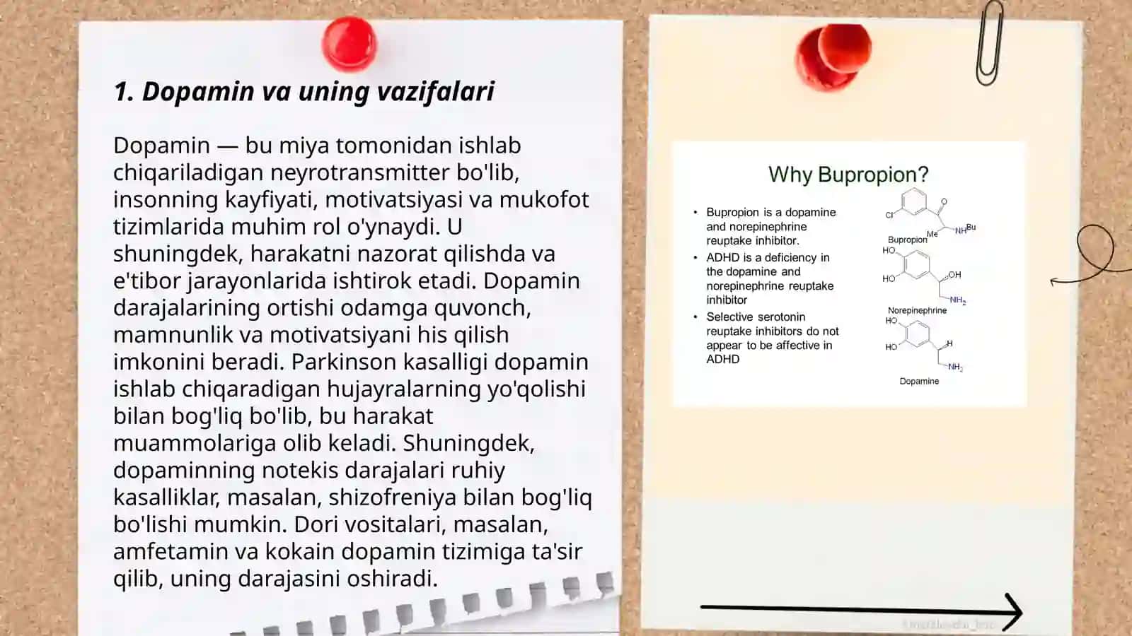 Dopamin va uning vazifalari 3