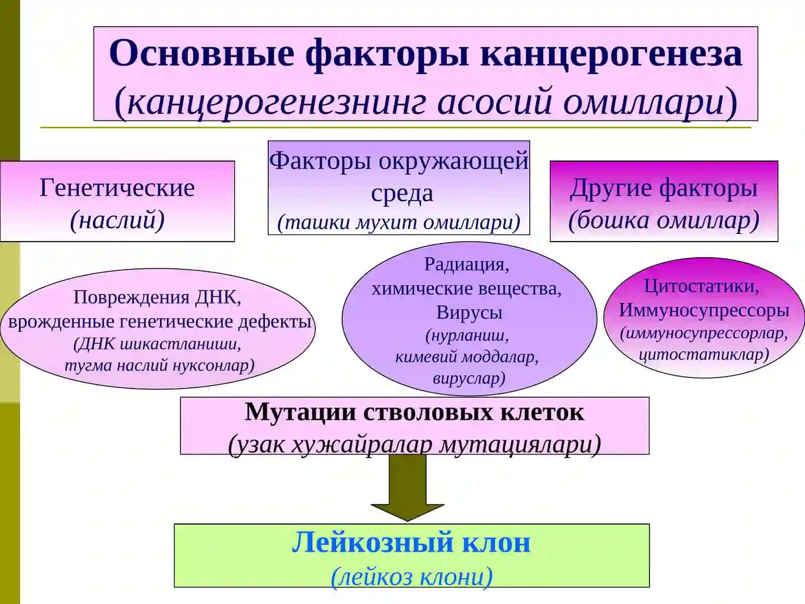 ОСТРЫЕ ЛЕЙКОЗЫ(Уткир лейкозлар) 3