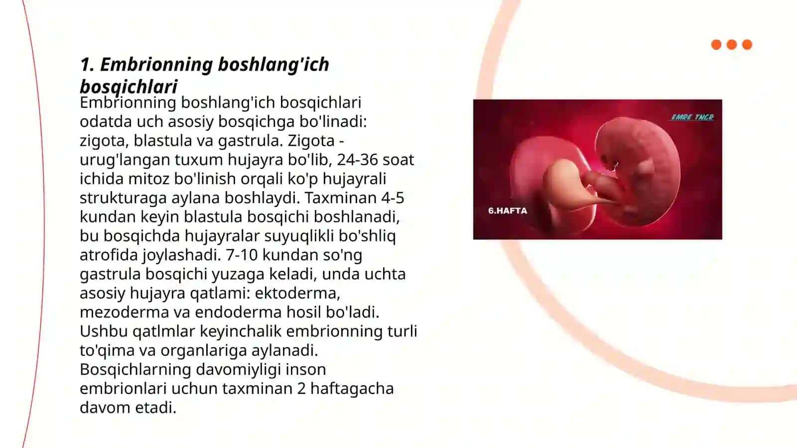 Embrionning rivojlanishi 3