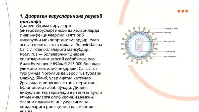 Диараген вирусларининг умумий таснифи 3