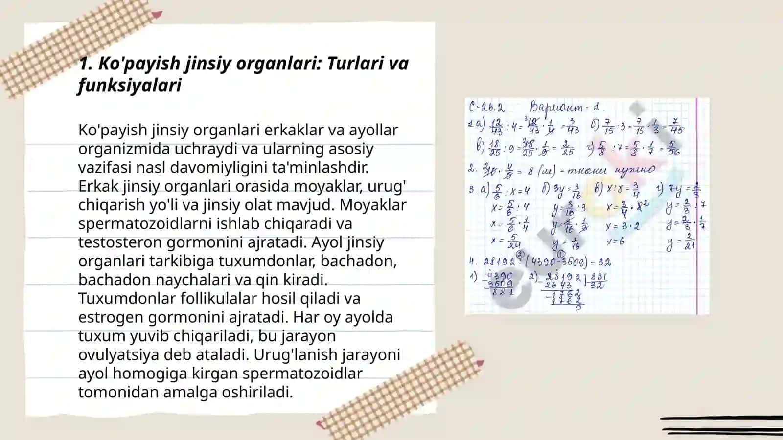 Hayvonlar anatomiyasi 3