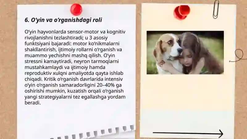 Zoo psixologiyasi 3