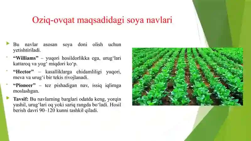SOYA OʻSIMLIGINI NAVLARI TAVSIFI 3