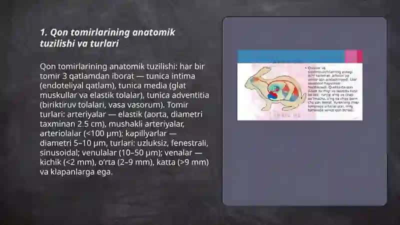 Qon tomirlar fiziologiyasi 3