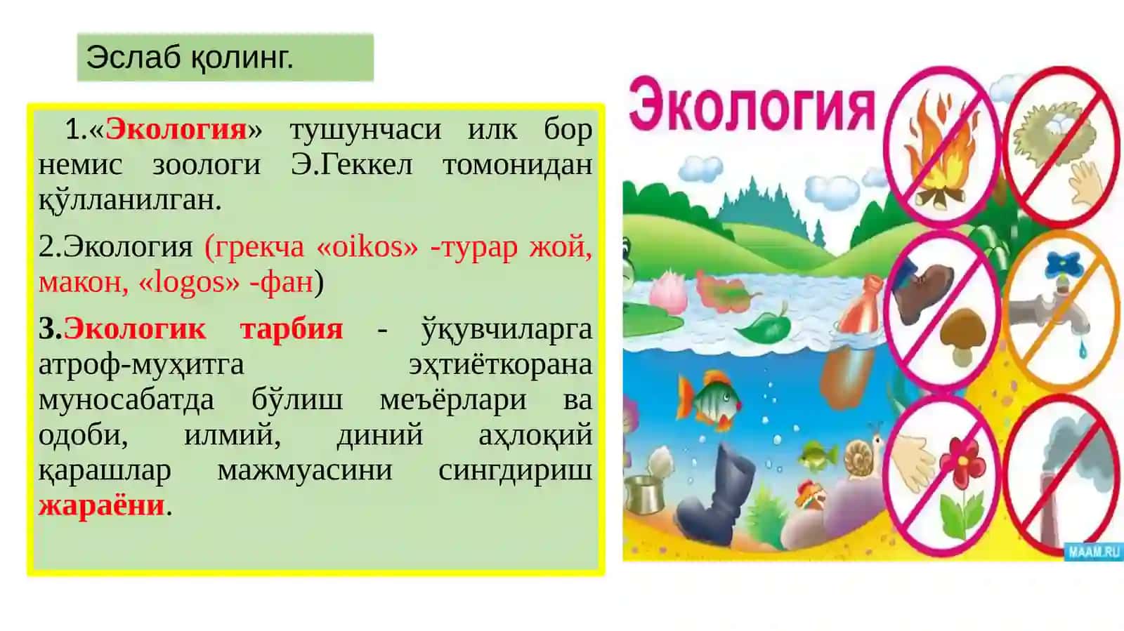 Экологик тарбия 3