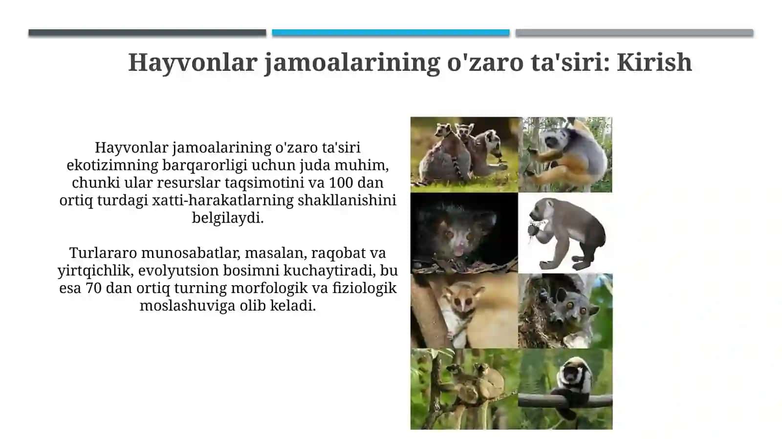 Hayvonlar jamoalarining o'zaro ta'siri 3