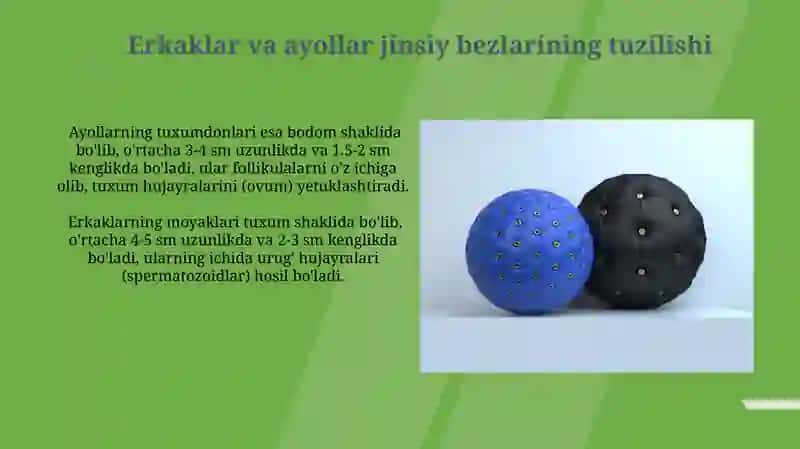 Bolalarda gender farqlar 3