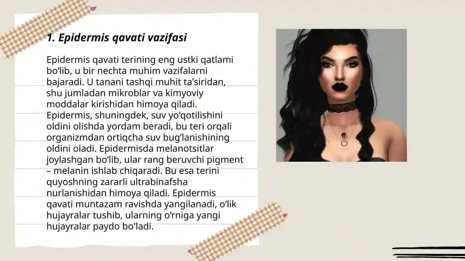 Epidermis va derma qavatlar 3