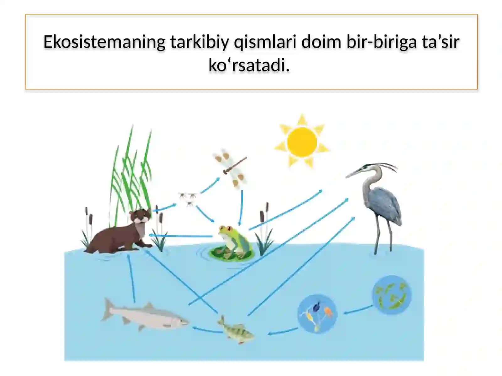 EKOSISTEMALARDAGIO'ZAROMUNOSABATLAR 3