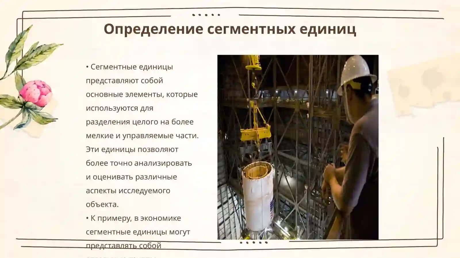 Сегментные и супер сегментные единицы 3