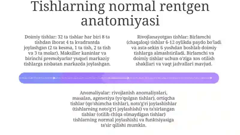 Tishlarning Rentgen Anatomiyasi 3