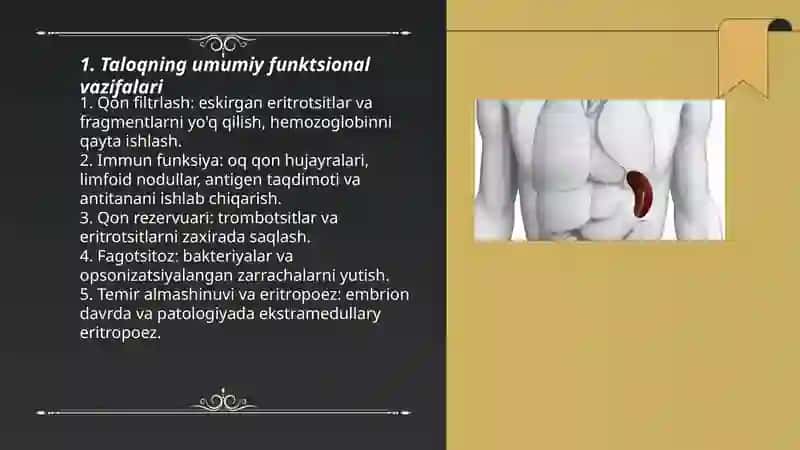Taloqning funksiyasi 3