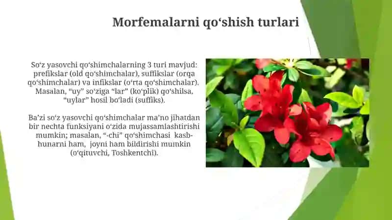 Affiksionalmorfematurlari 3