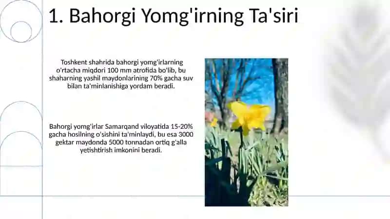 Bahor Yomg'iri 3