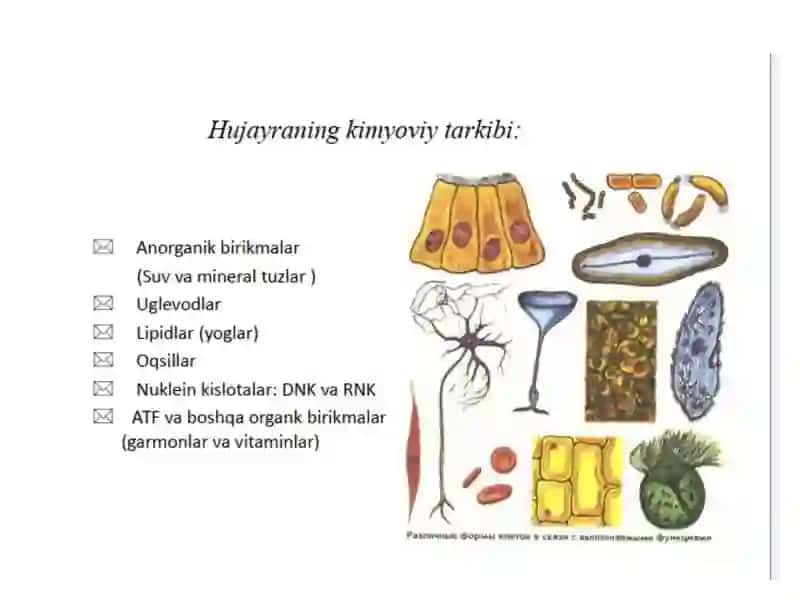 Hayotning molekulyar asoslari 3