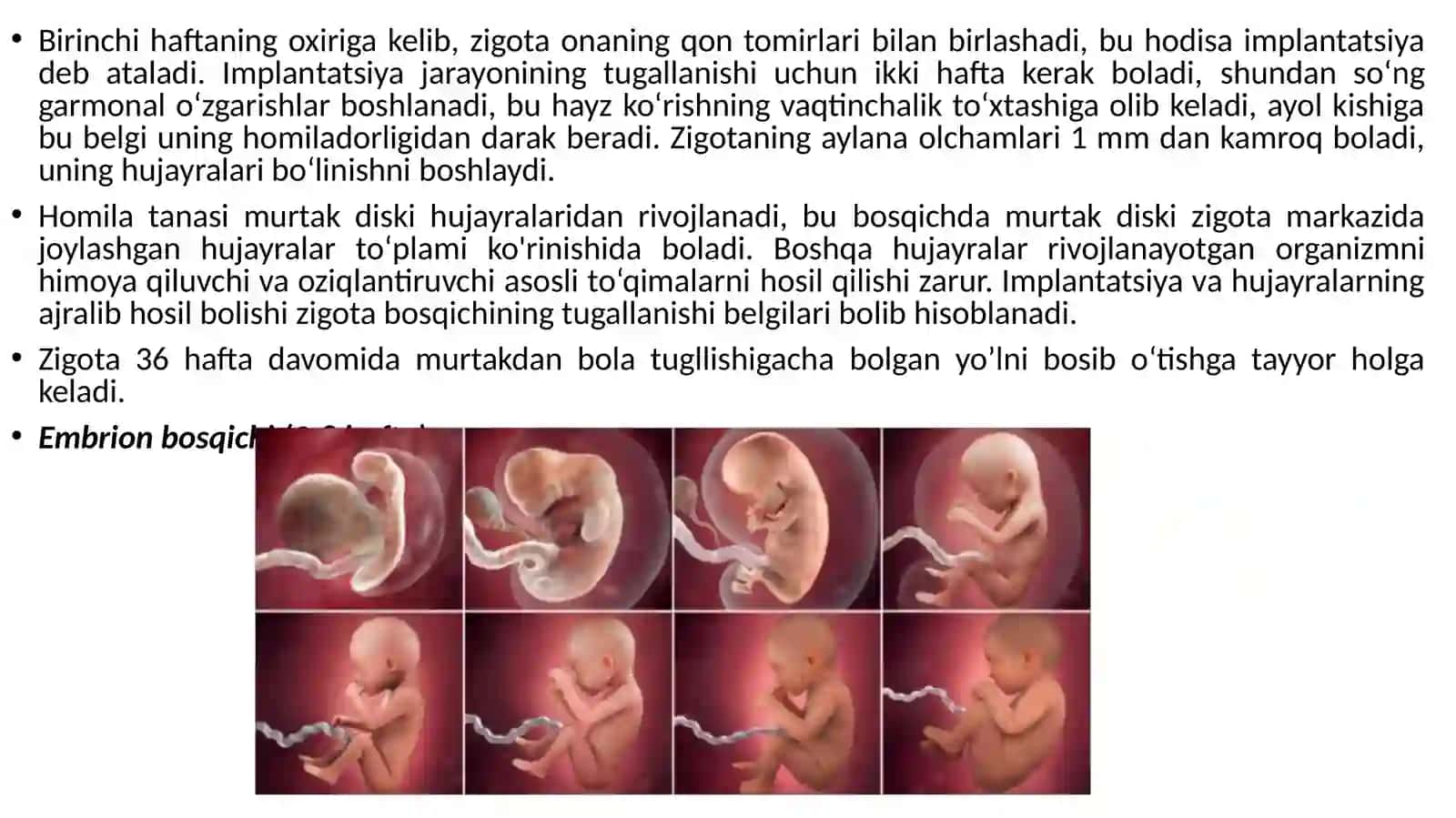 Bola psixik rivojlanishni davrlashtirilishi(Go’daklik davri va ilk bolalik davri) 3