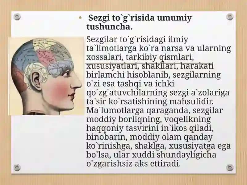 Sezgilar 3