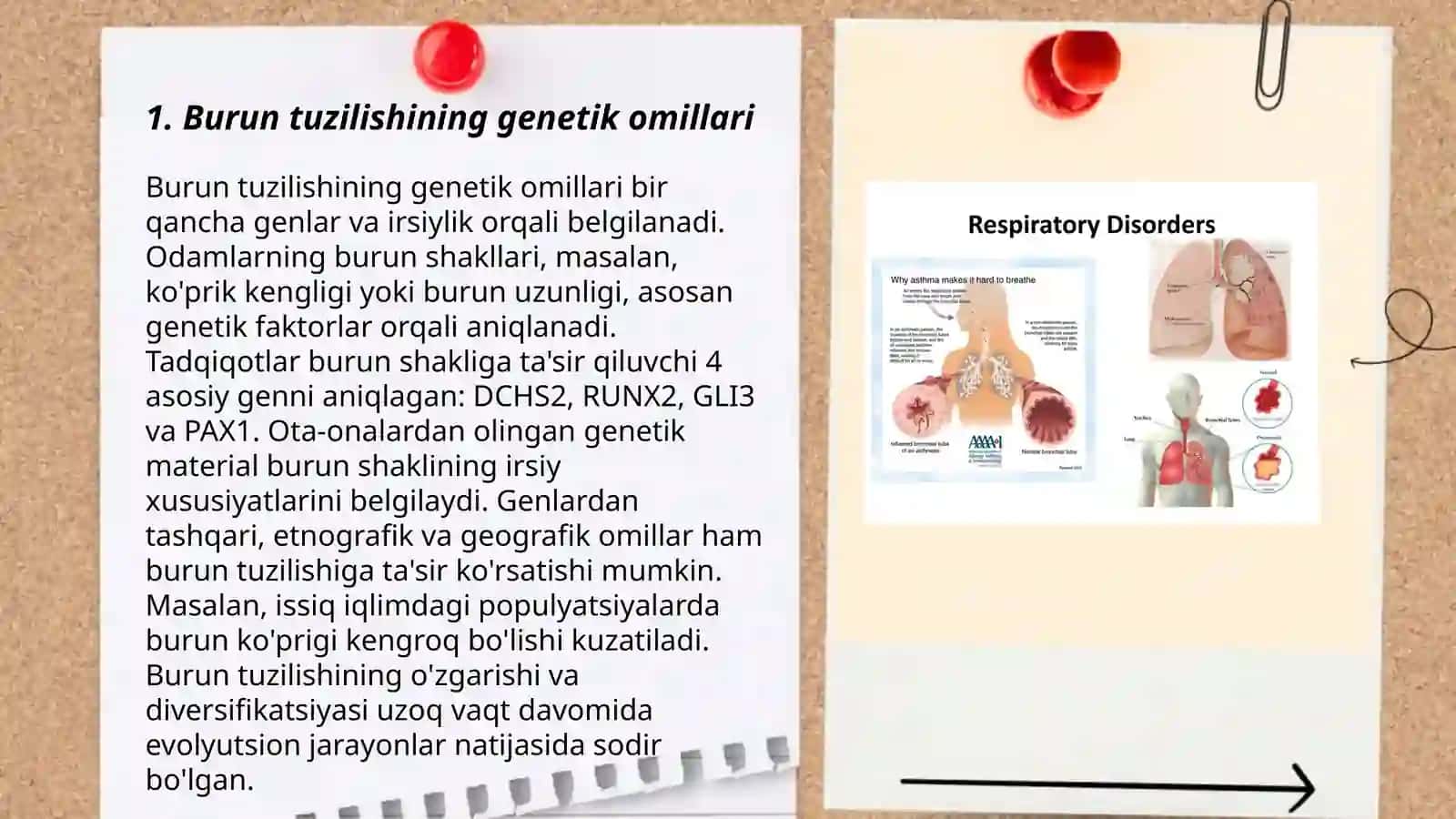 Nafas aʼzolari taraqqiyoti.Burun anomaliyalari 3