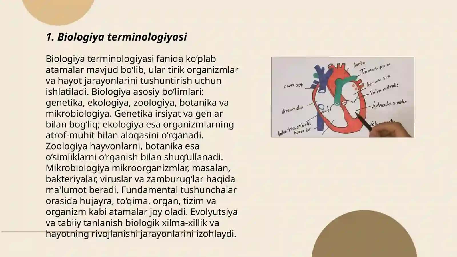 Biologiya terminologiyasi 3