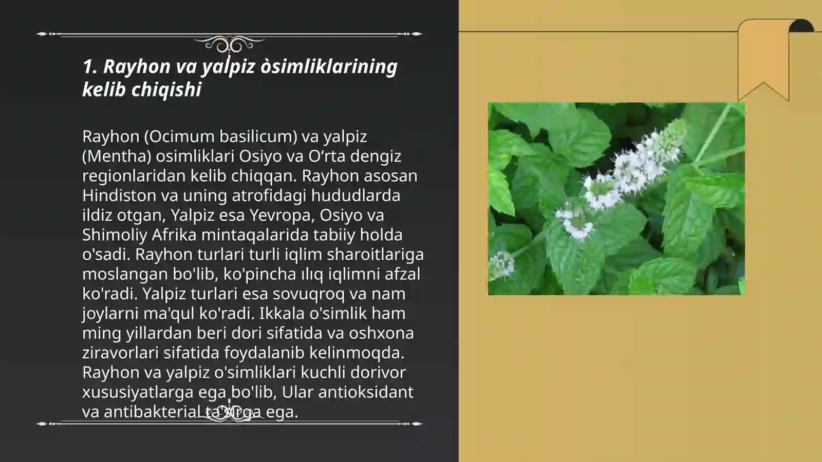 Rayhon va Yalpiz Òsimligi 3