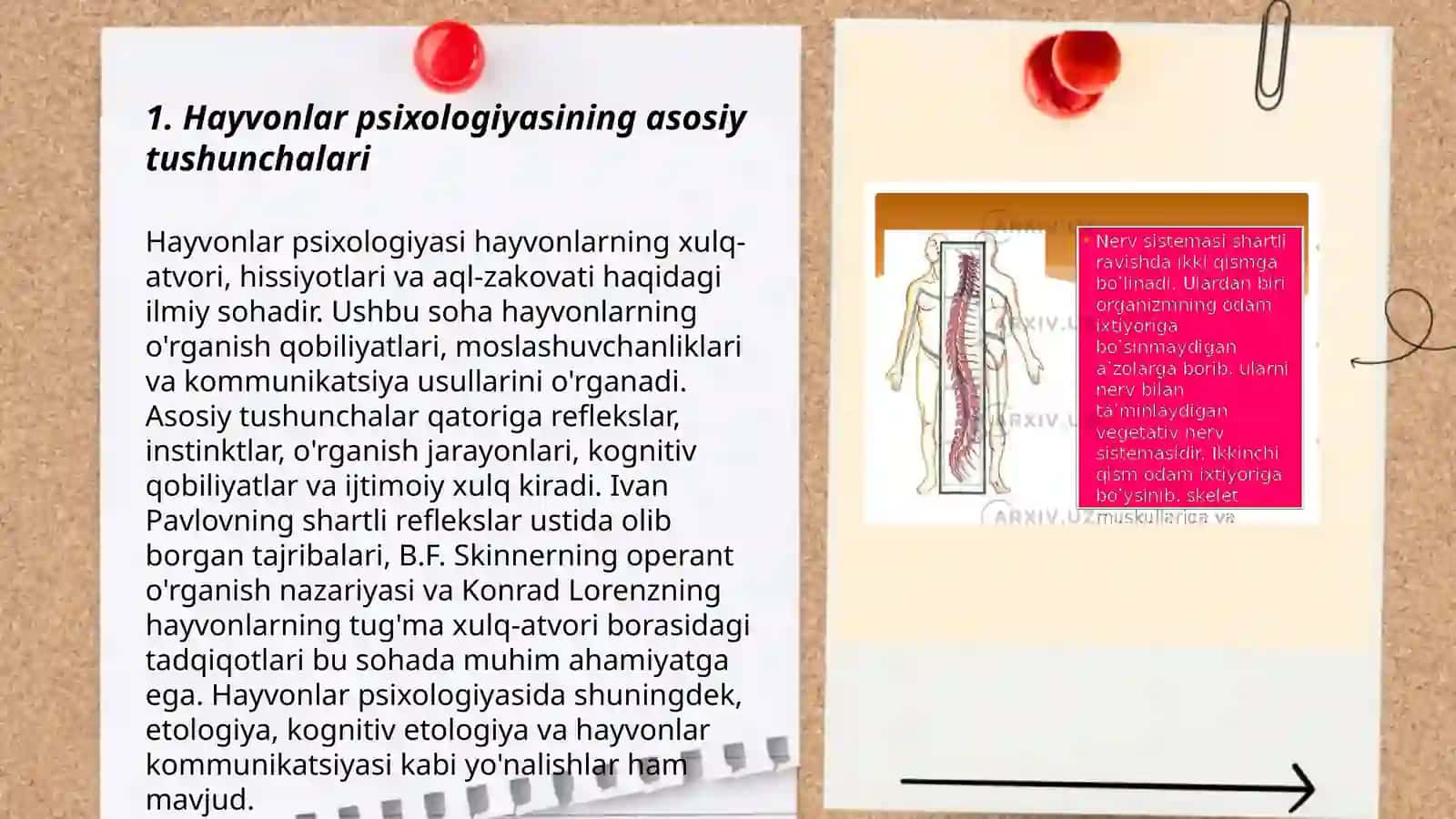 Hayvonlar psixik faoliyatining umumiy tavsifi 3