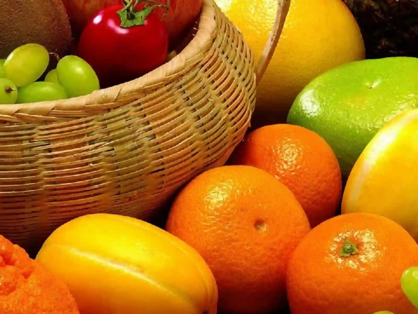 6-sinf Botanika Meva va urug'larning tarqalishi 3