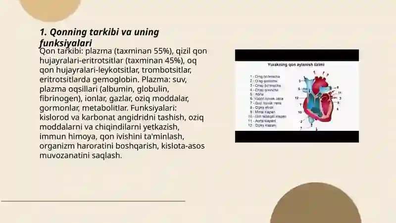 QON. YURAKNING FUNKSIYASI 3