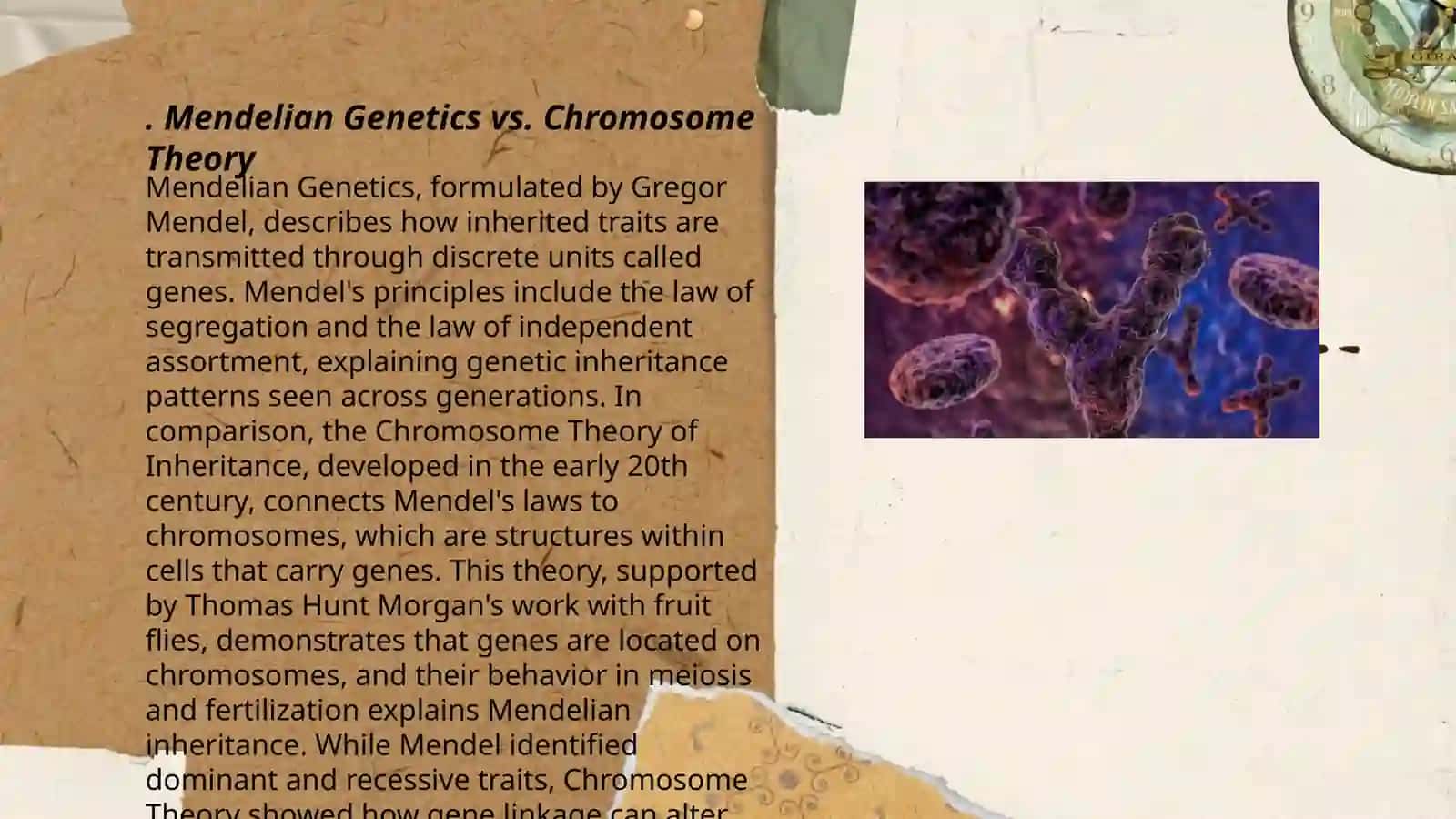 Solving problems on the chromosome theory of heredity 3