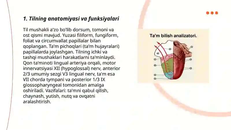Tilning anatomiyasi va funksiyalari 3