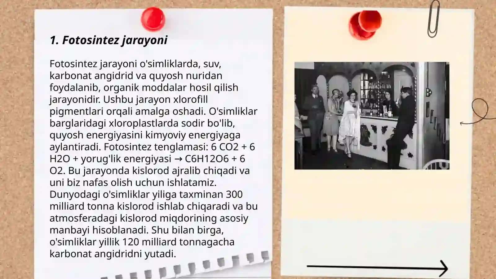 Fotosintez jarayoni 3