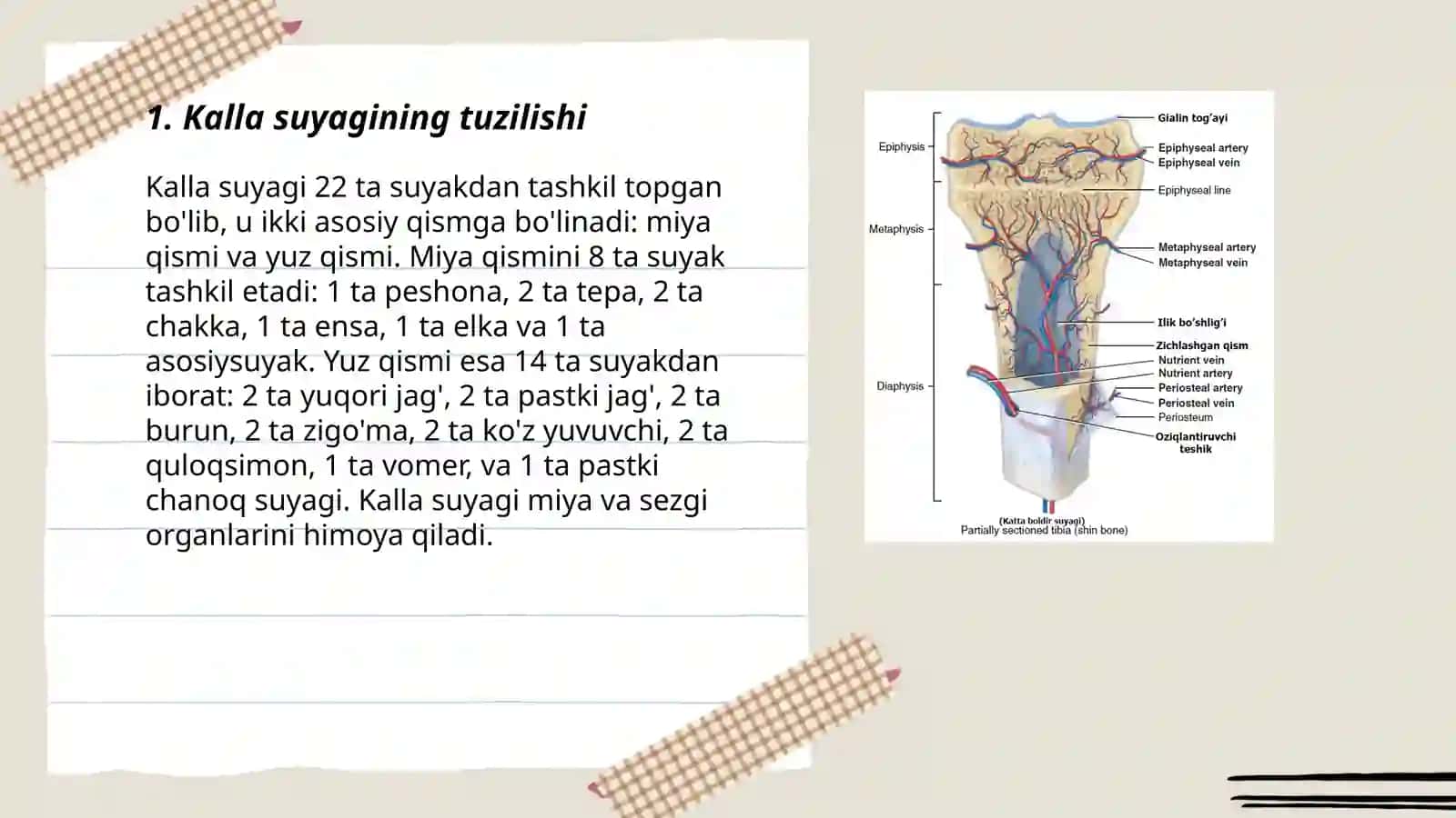 Kalla suyagi 3
