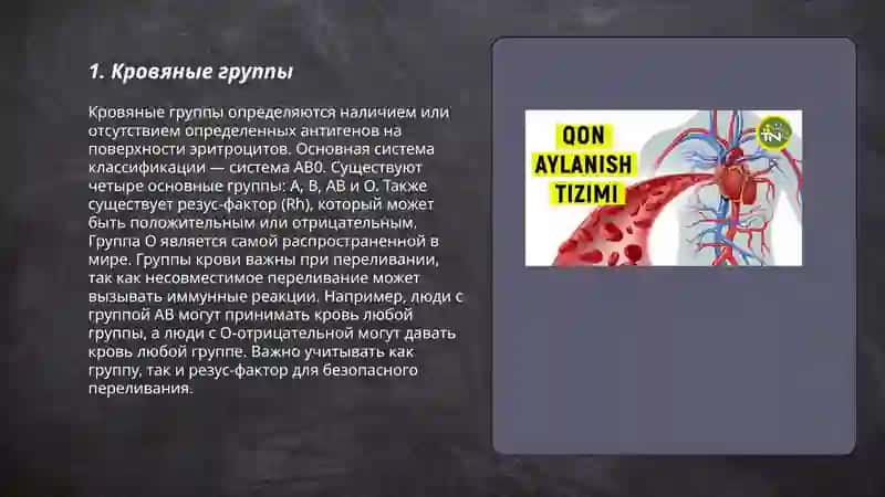 Рус тилида қон мавзусида слайд 3