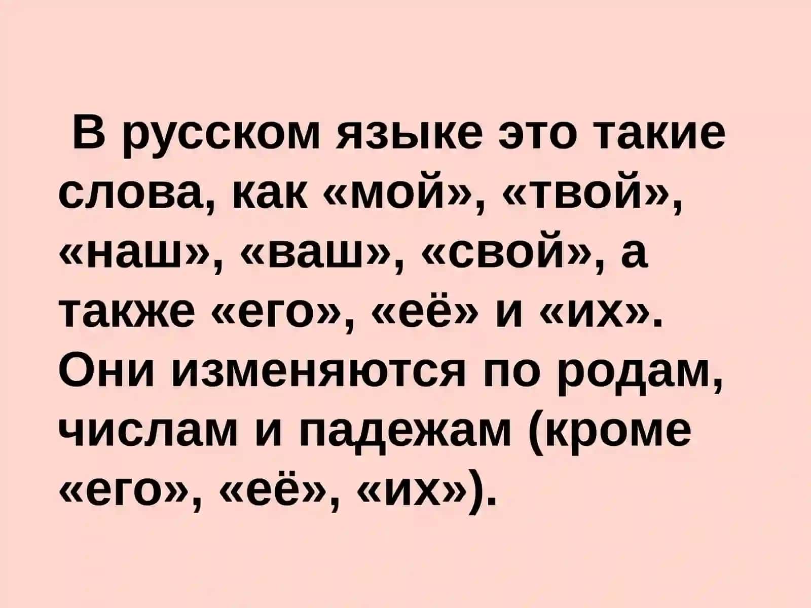 Притяжательные местоимения 3