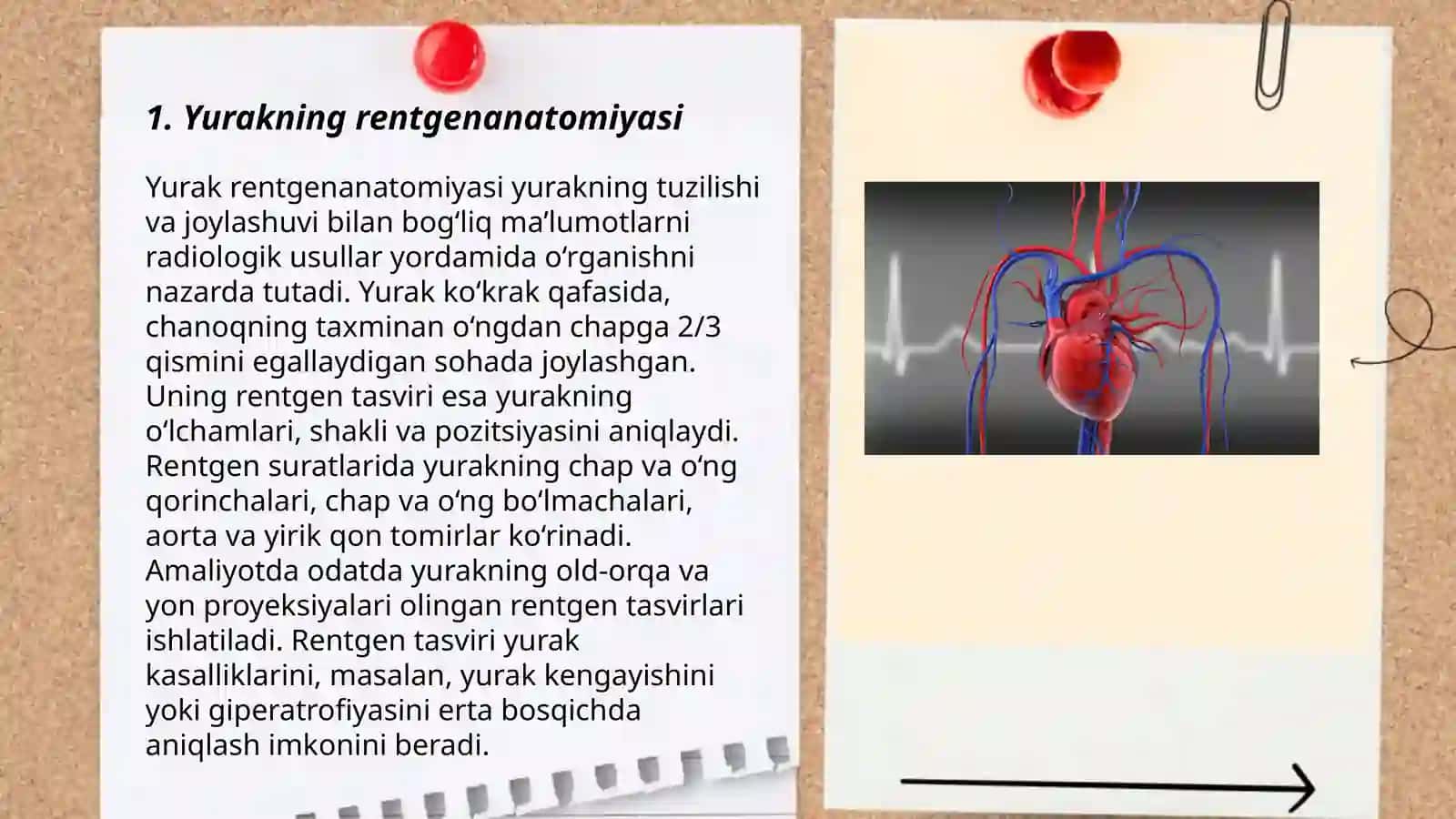 Yurak va qon tomirlar rentgenanatomiyasi 3