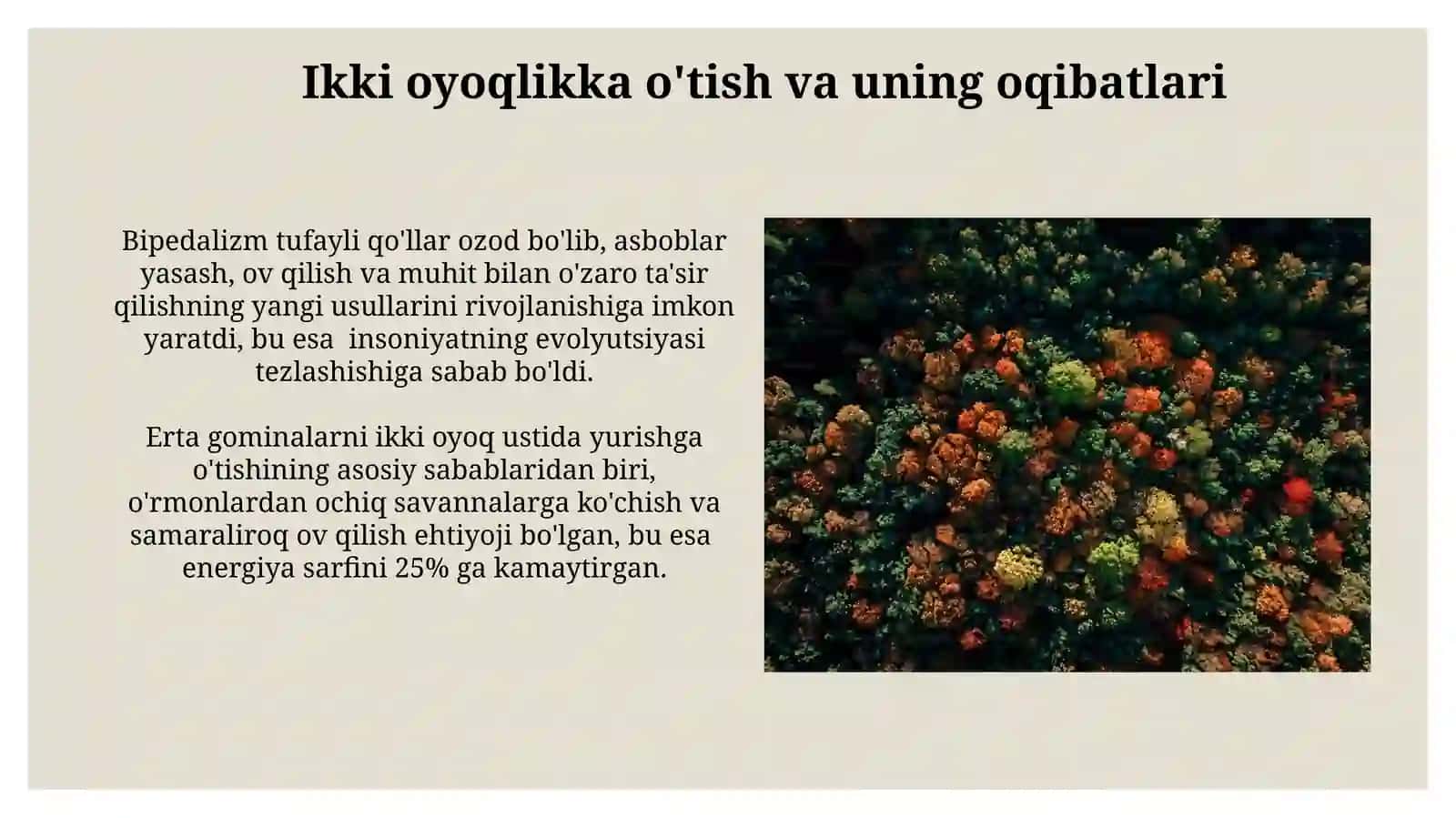 Antropogenezning umumiysavollari 3
