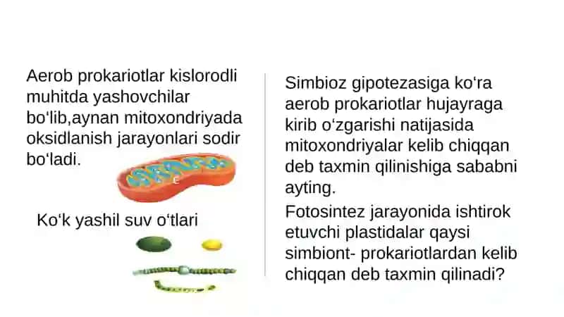 Hujayralar evolyutsiyasi-mustahkamlash 3