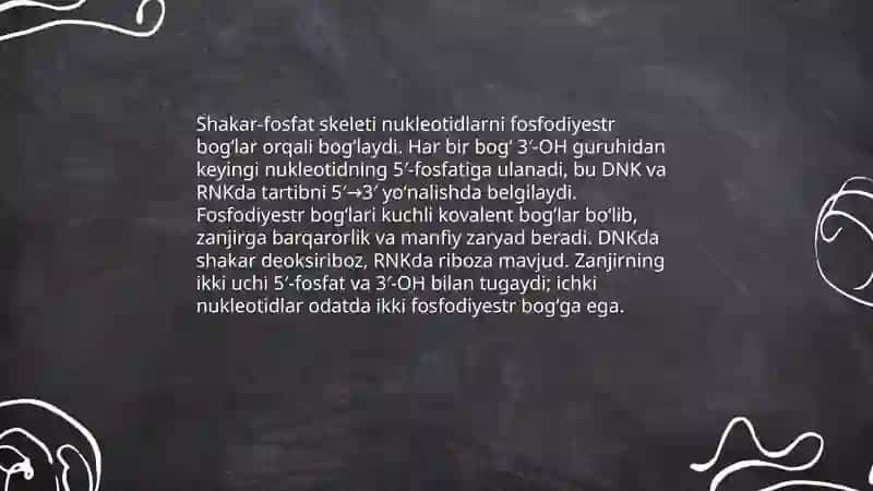 Nuklein kislotalar. DNK va RNK 3