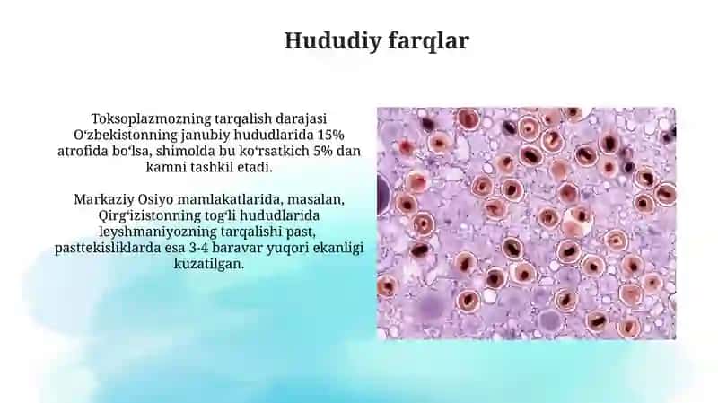 Oldini olish va davolash strategiyalari 3